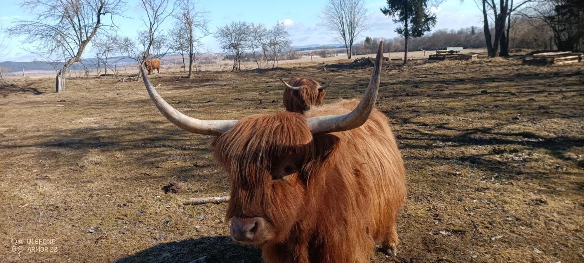 Podlesok 697 Villa Hrabusice Bagian luar foto